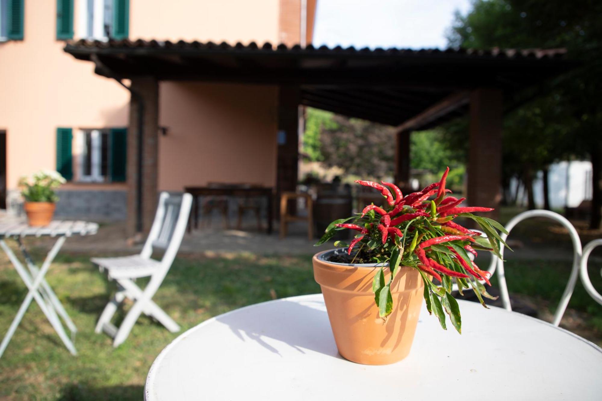Country Boutique Paradiso Valmadonna Exteriér fotografie